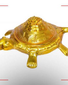 Meru Shree Yantra Turtle