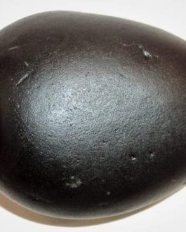 Original Shaligram Stone